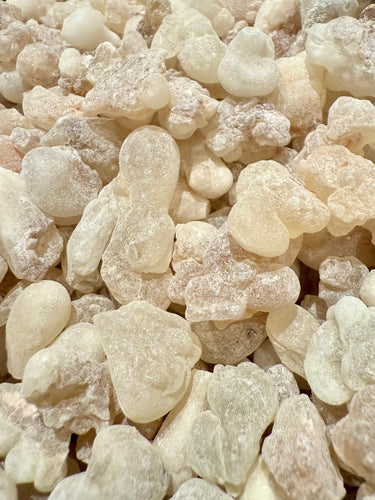 White Hojari Frankincense Oman (Boswellia Sacra)